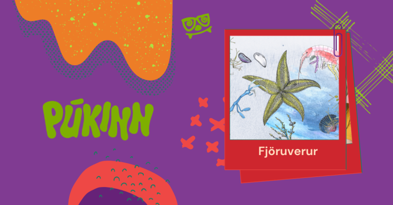 Stækka mynd