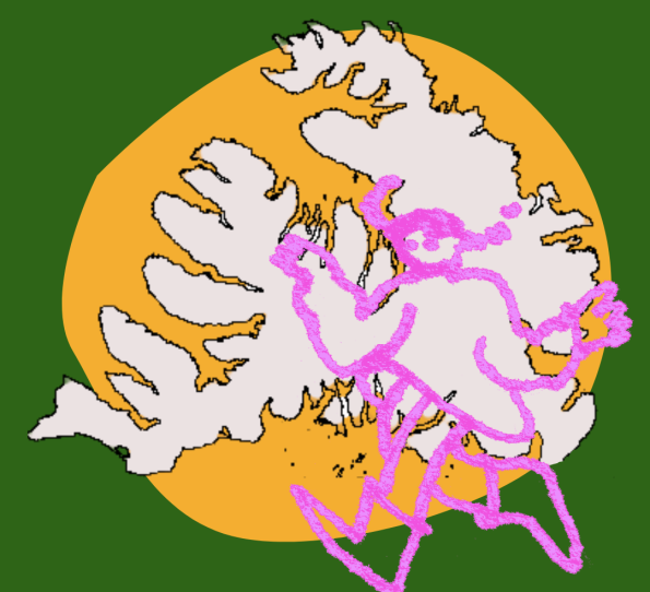 Farsældarráð Vestfjarða