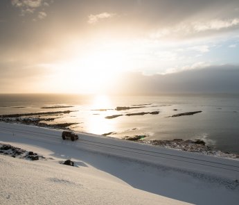 Almenningssamgöngur