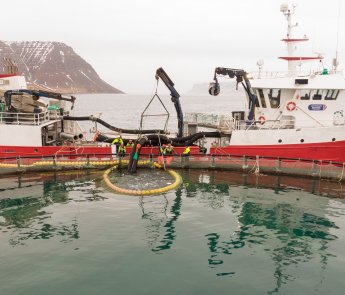 Fiskeldi - framtíðarsýn