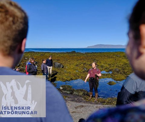 Fjöruferðir - Finn ég þig í fjörumó?