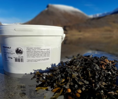 Kalksalt í fötu. Mynd fengin af Facebooksíðu Kalksalts með leyfi eiganda