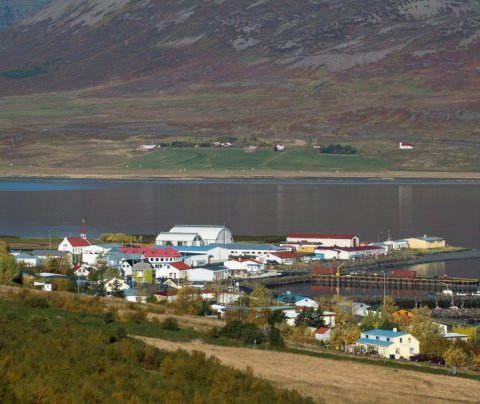 Umsóknir óskast – Öll vötn til Dýrafjarðar