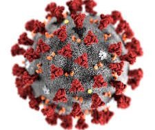 Aðgerðir stjórnvalda vegna Covid 19