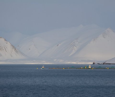 Arnarfjörður