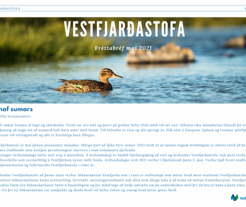 Fréttabréf maí 2021