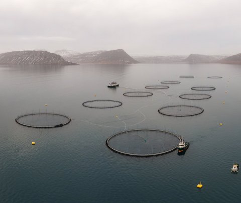 Hvatt til endurskoðunar á gjaldtöku hafna vegna fiskeldis