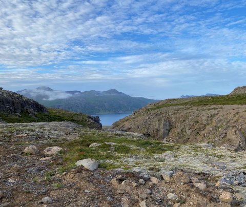 Trékyllisheiði. Ljósm. Skúli Gautason