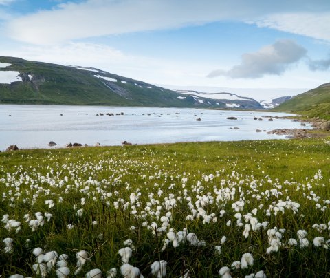 Úthlutun úr Framkvæmdasjóð ferðamannastaða 2022