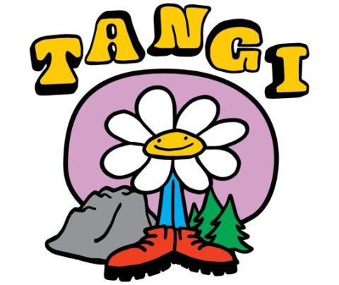 Leikskólinn Tangi óskar eftir að ráða sumarstarfsmann