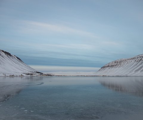 Störf í boði á Vestfjörðum