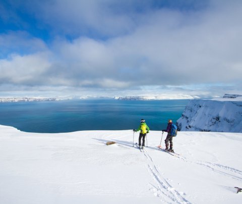 Vestfirsk ferðaþjónusta - fjarfundur