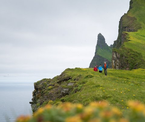 Opið fyrir umsóknir í Ratsjánna