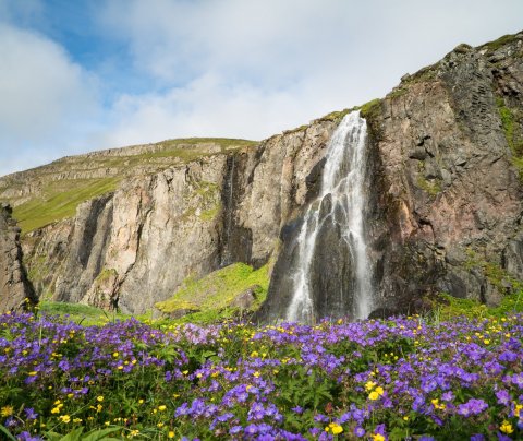 Opnað fyrir styrkumsóknir fyrir Nýsköpunar- og samfélagsmiðstöðvar