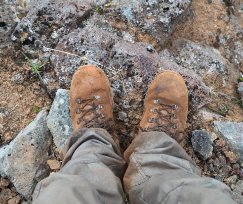 Ýmsir styrkir lausir til umsóknar