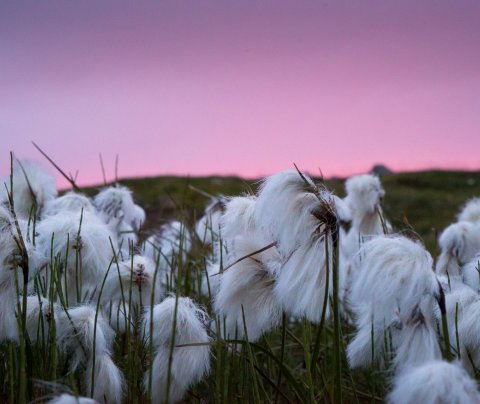 Styrkúthlutun - Nýsköpunar- og samfélagsmiðstöðvar