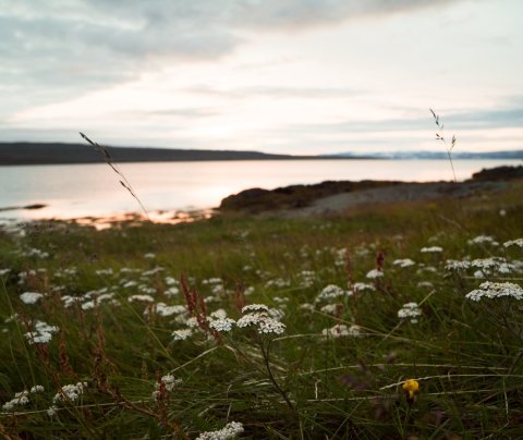 Hvar losum við mest – og hvar getum við gert betur?