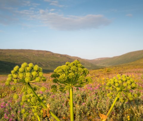 65. Fjórðungsþing Vestfirðinga og aðalfundur Vestfjarðastofu