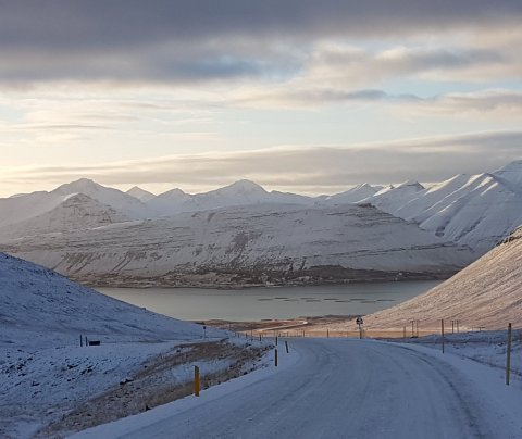 Þingeyri og Vestfirsku Alparnir (mynd Vestfjarðstofa)