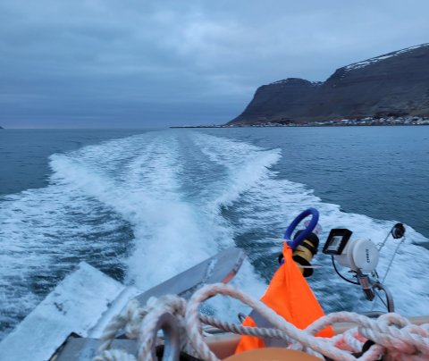 Nordic Kelp þörungarækt á Patreksfirði