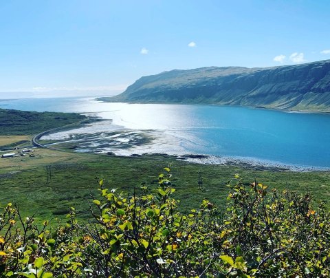 Sumarlokanir starfsstöðva