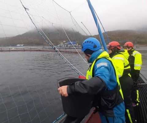 Viðhorfskönnun um fiskeldi og samgöngumál