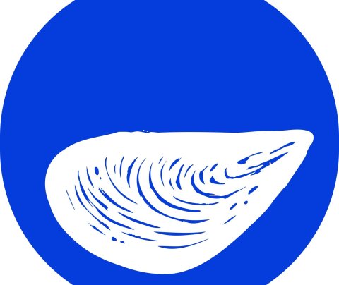 Tónlistarahátíðin við Djúpið hefst á morgun!
