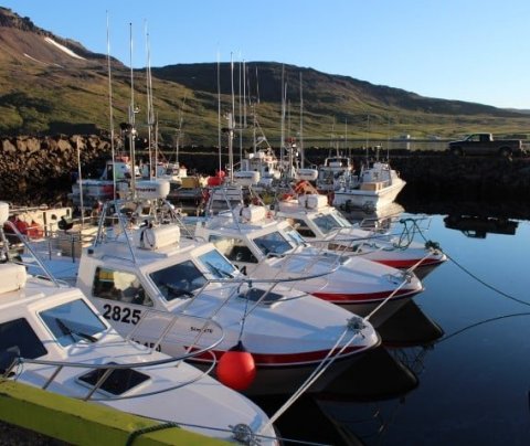 Samráðsfundur með hagsmunaðilum á Vestfjörðum vegna sértækra aflaheimilda
