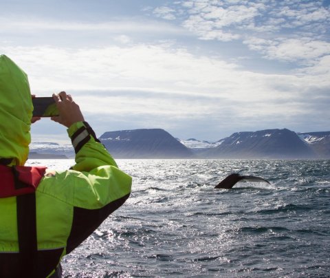 Fjarfundur ferðaþjónustu og verslunar á Vestfjörðum