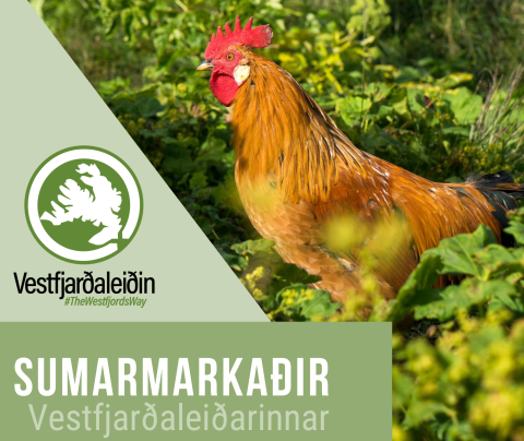 Sumarmarkaðir Vestfjarðaleiðarinnar