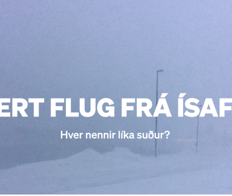 Ein af glærum Braga Valdimars