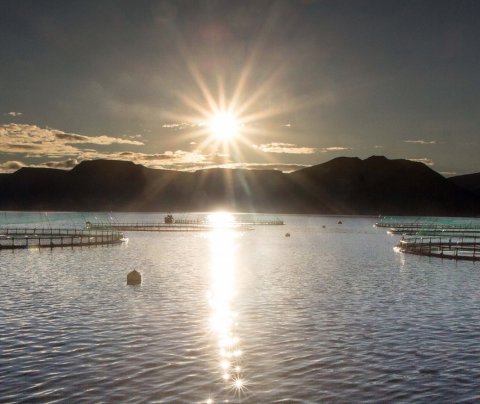 Reynsla Troms fylkis af laxeldi - Fundir á Ísafirði og Tálknafirði