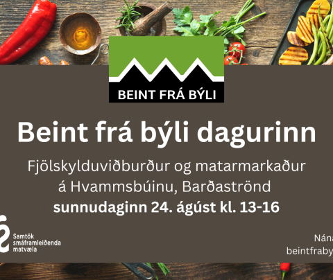 Beint frá býli dagurinn á Hvammsbúinu