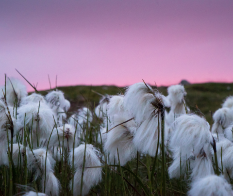 Fjórðungsþingi haldið áfram