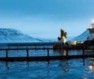 Umsögn um fiskeldisfrumvarp