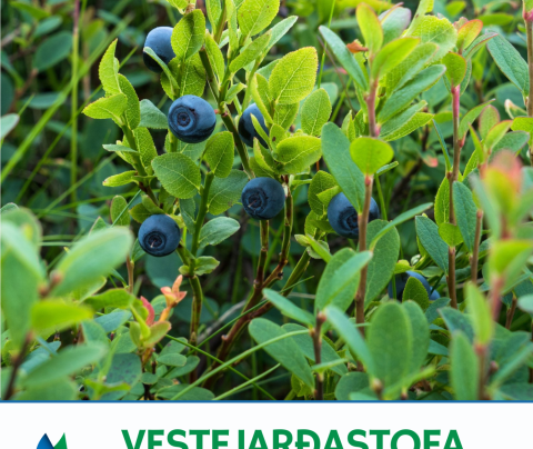 Fréttabréf septembermánaðar komið út