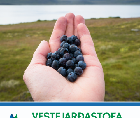 Fréttabréf ágústmánaðar er komið út!