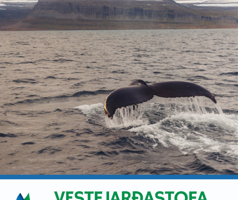 Fréttabréf febrúarmánaðar komið út