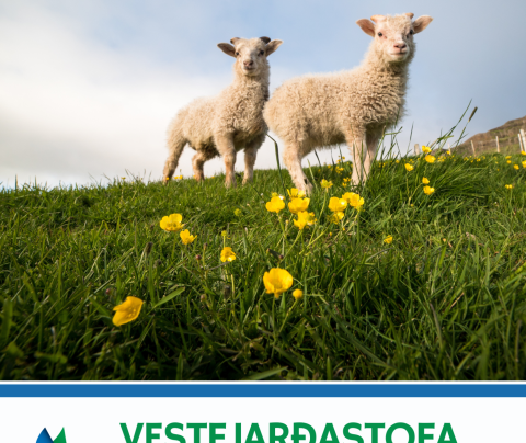 Fréttabréf maímánaðar er komið út!