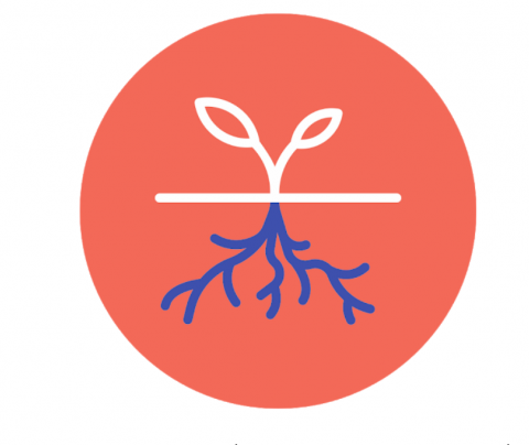 Hæfnihringir - fyrir konur í fyrirtækjarekstri á landsbyggðinni