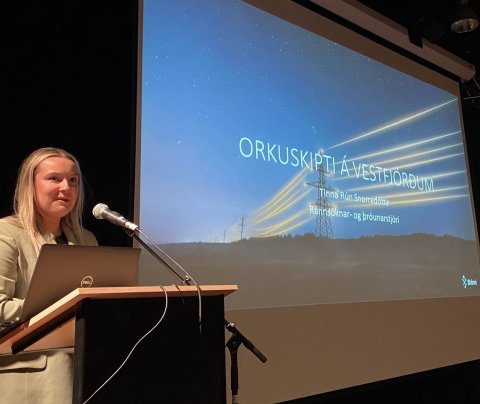 Tinna Rún Snorradóttir, rannsóknar- og þróunarstjóri hjá Bláma