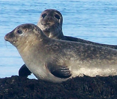 Glærur frá kynningu á Menningarráðinu og styrkjum þess