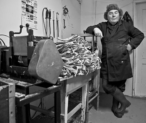 Ein af myndum Ágústar