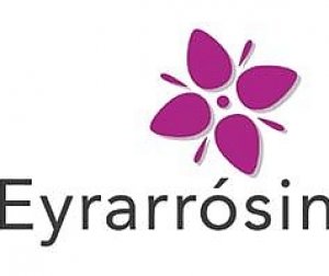 Aldrei fór ég suður fékk Eyrarrósina 2008