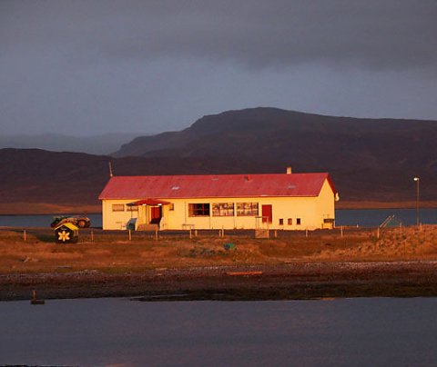 Sólin skein á Sævang í morgun