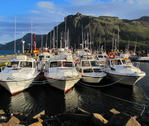 Höfnin í Norðurfirði