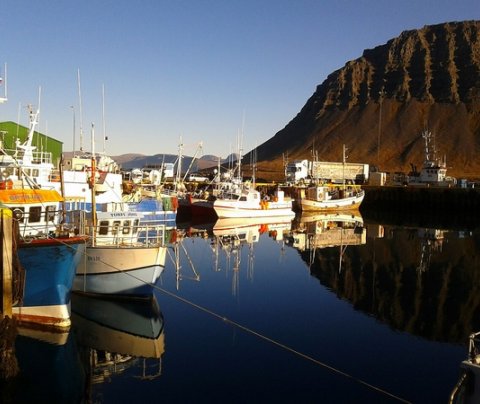 Við höfnina á Bíldudal
