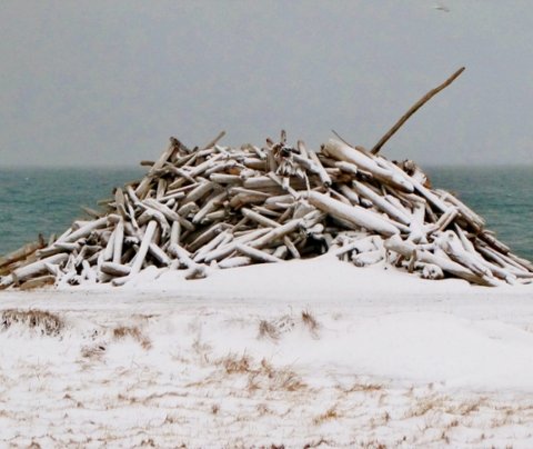 Tilnefningar til umhverfisverðlauna
