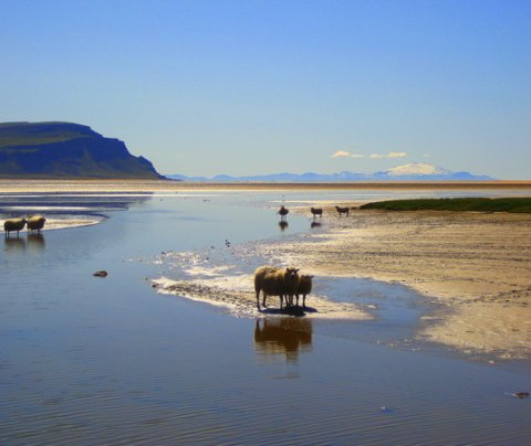 Fundur um framtíð innanlandsflugs, 20. febrúar kl 8.30.