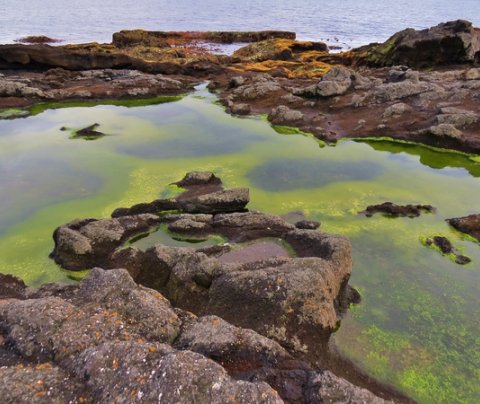 Stjórnarfundur Fjórðungssambands Vestfjarða